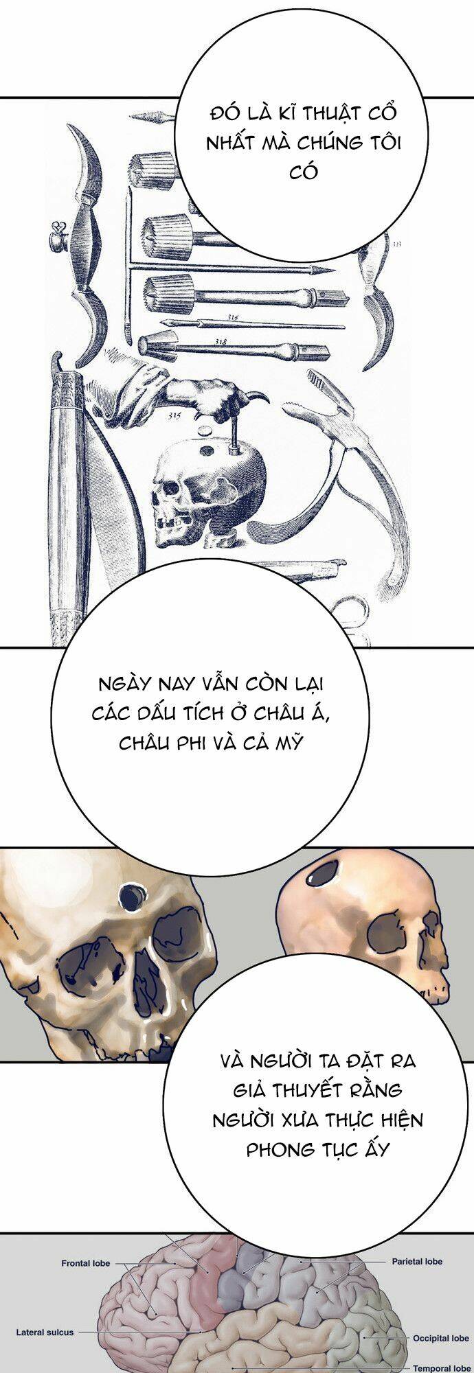 Chương 17 - Trang 8