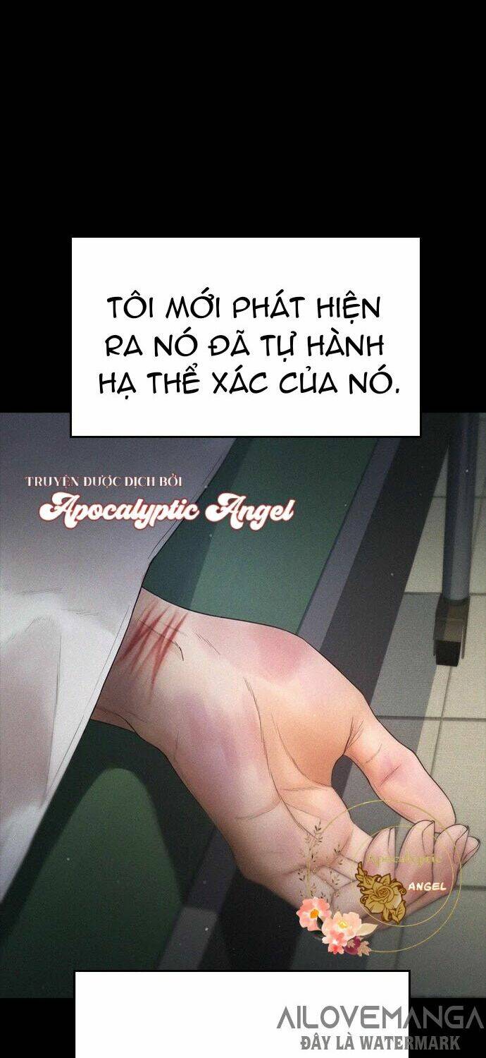 Chương 19 - Trang 17