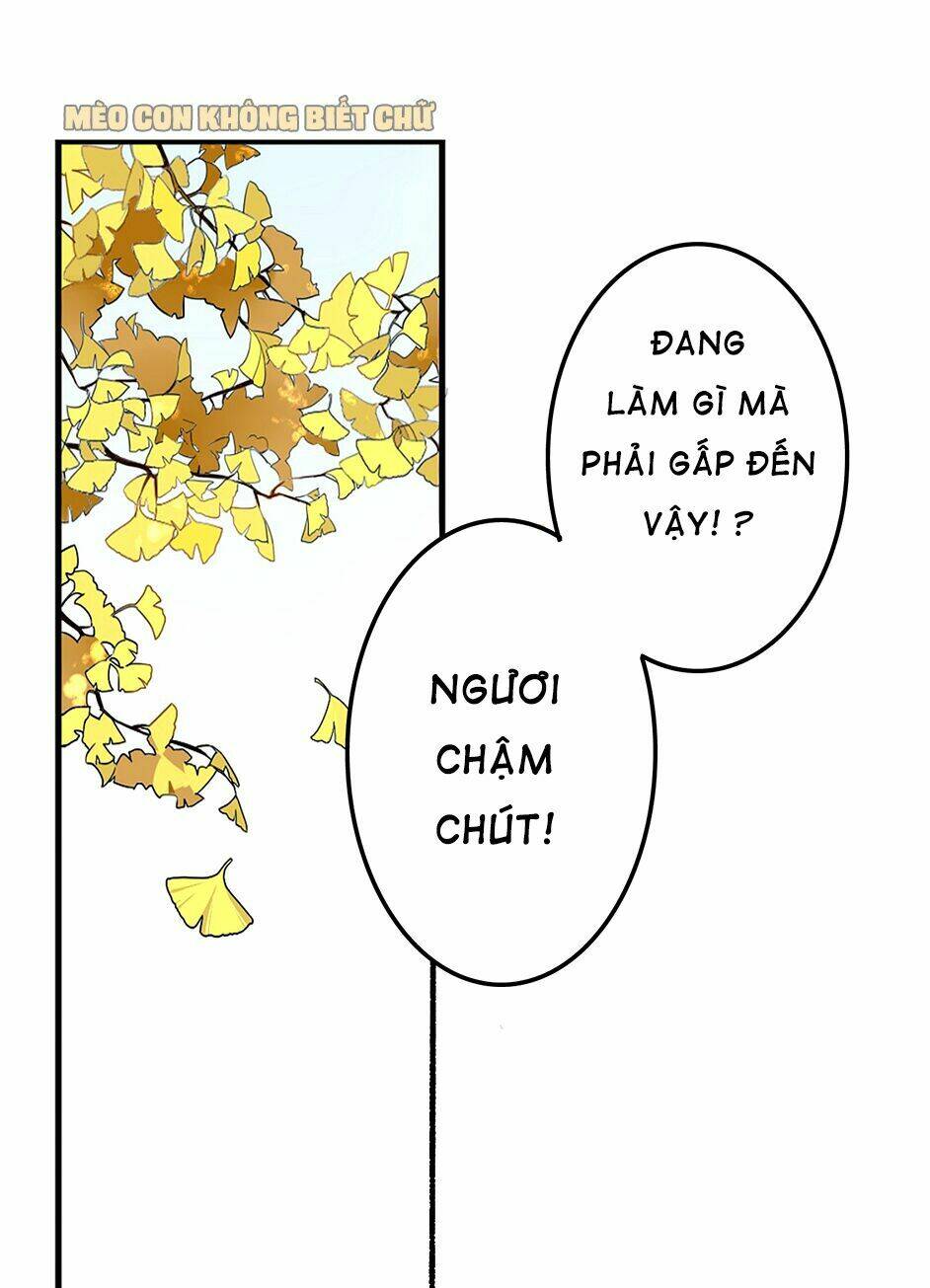 Chương 2 - Trang 12