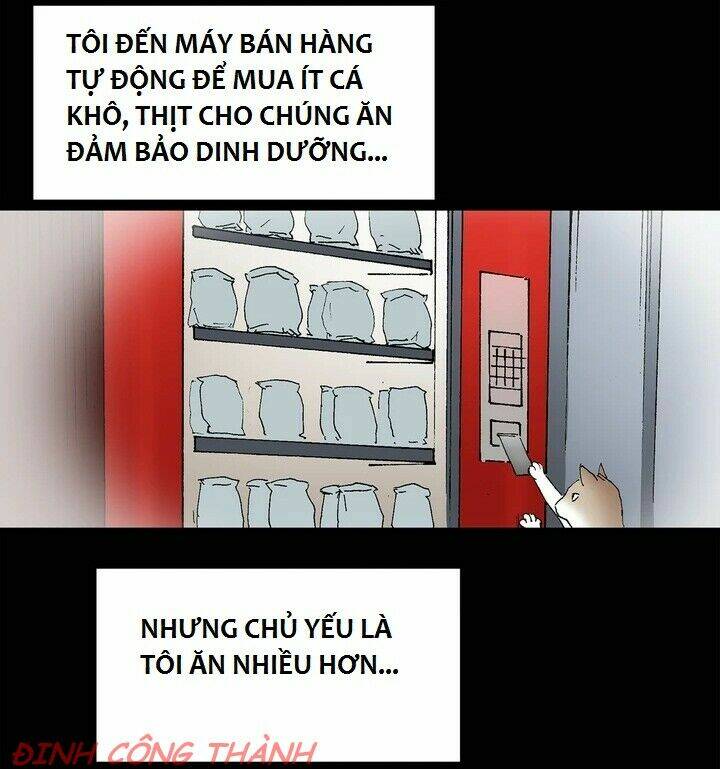 Chương 10 - Trang 17