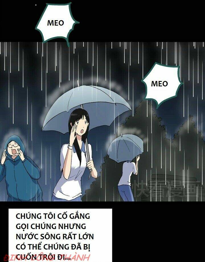 Chương 10 - Trang 22