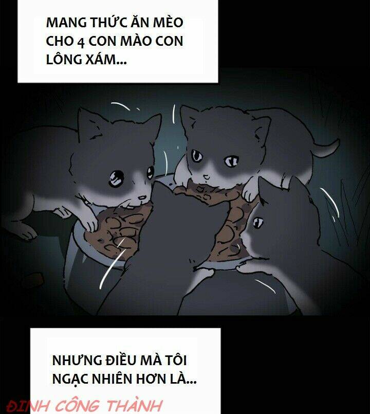 Chương 9 - Trang 35