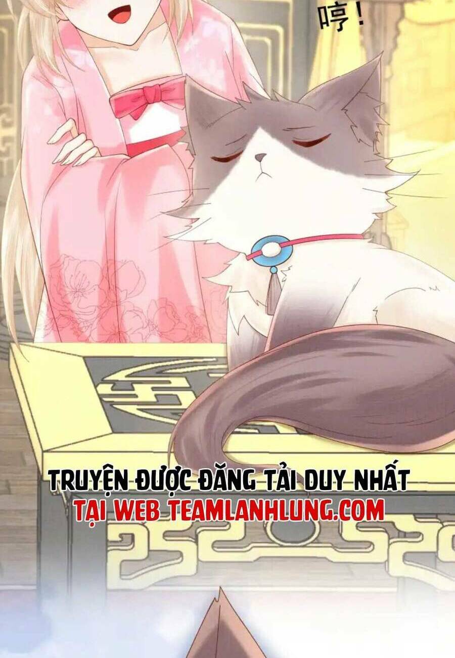 Chương 21 - Trang 21