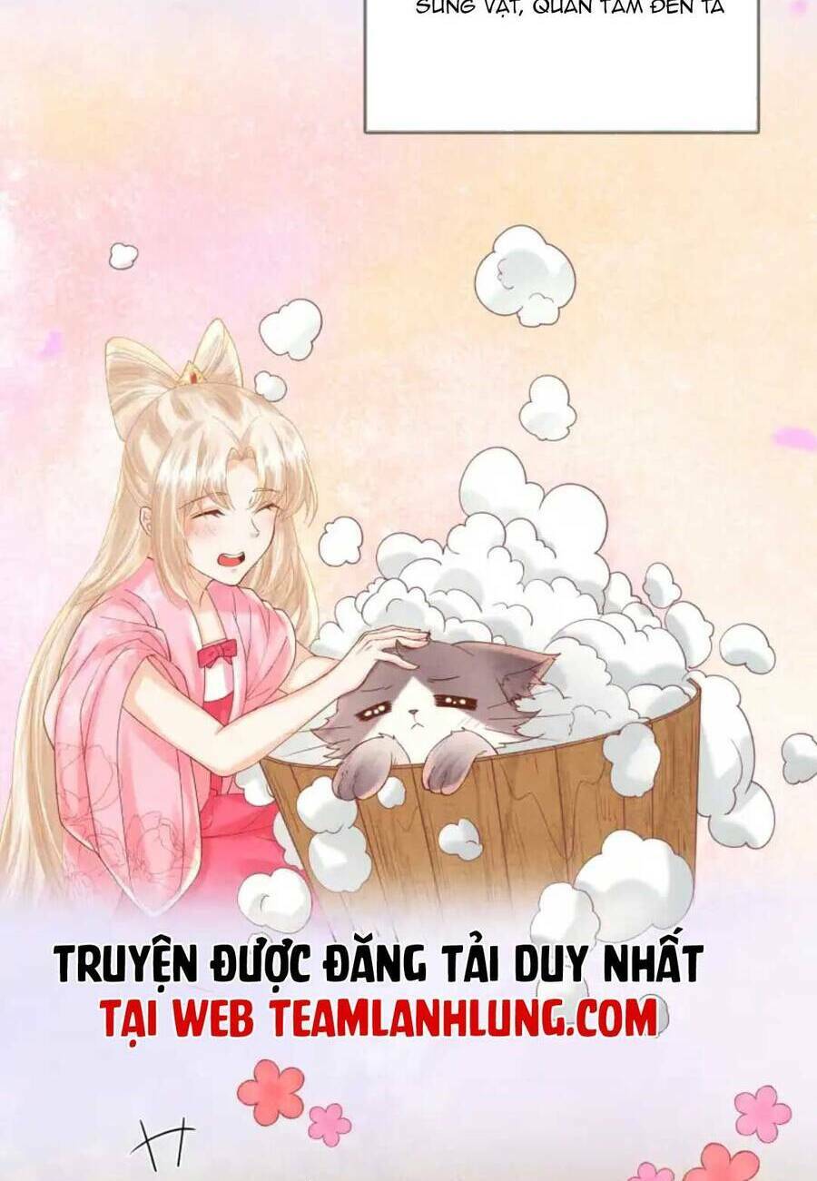 Chương 21 - Trang 24