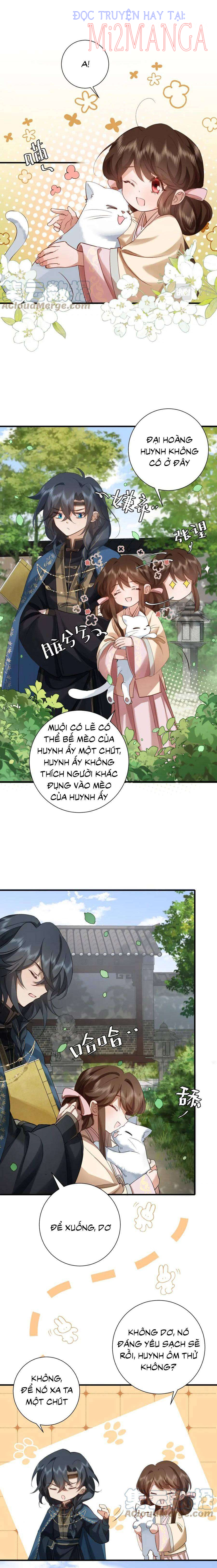 Trang 3