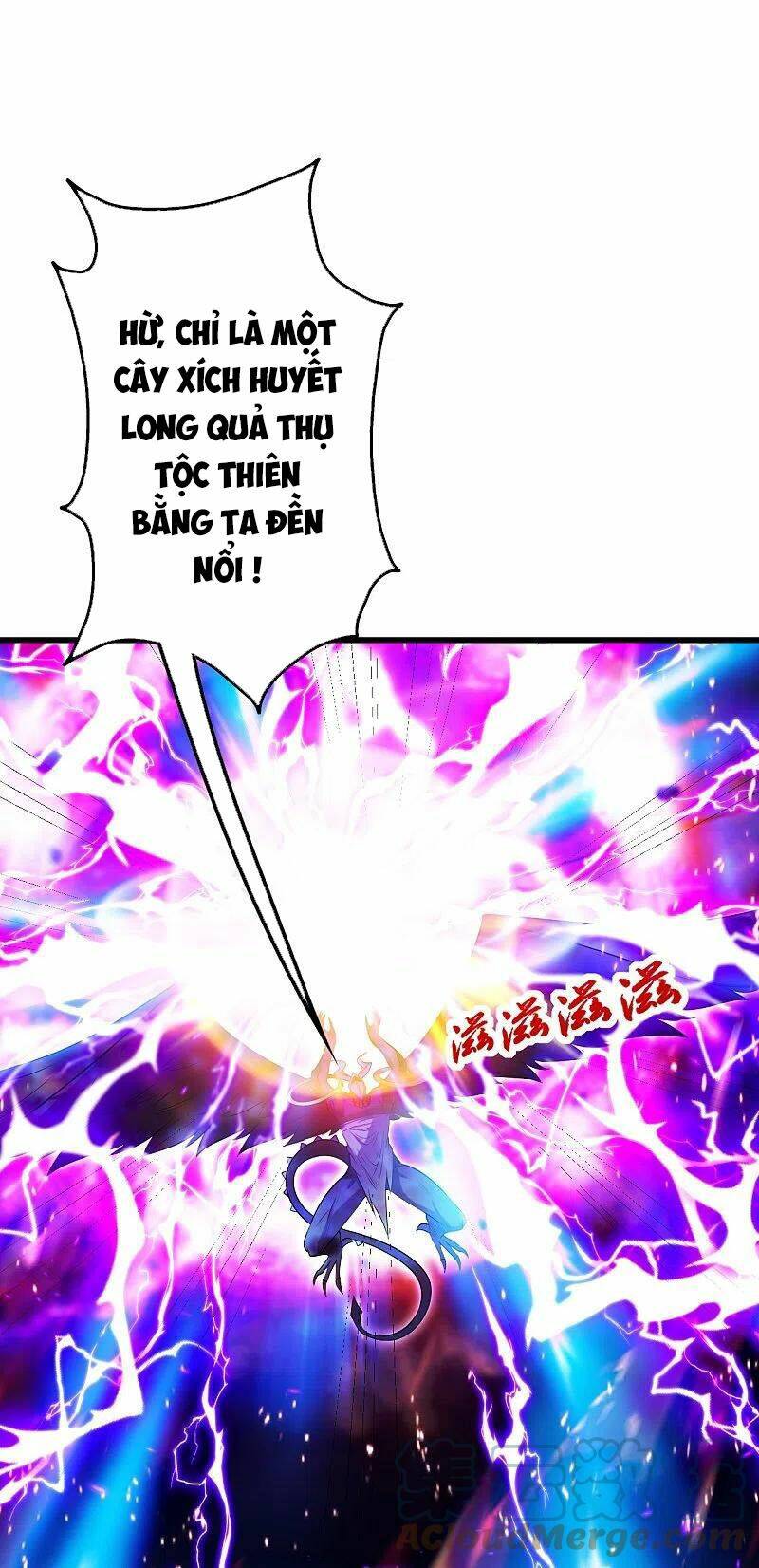 Chương 248 - Trang 28