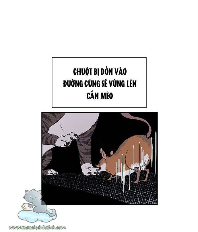 Chương 2 - Trang 40