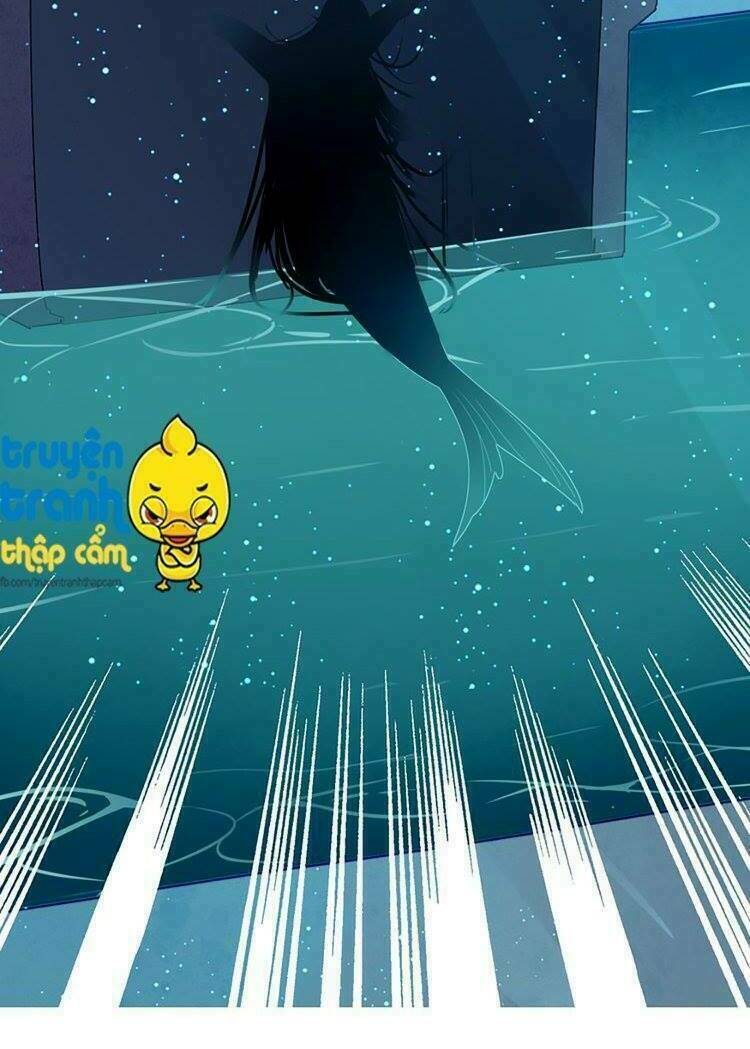 Chương 2 - Trang 31