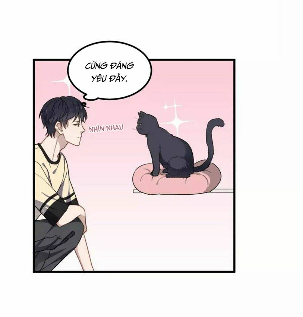Chương 43 - Trang 38