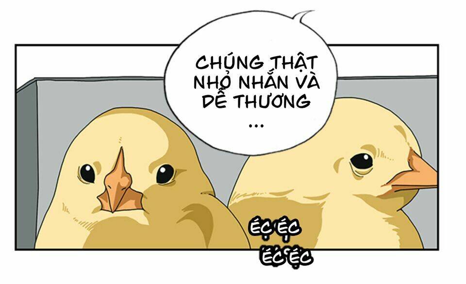 Chương 14 - Trang 13