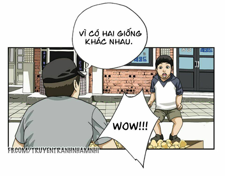 Chương 14 - Trang 4