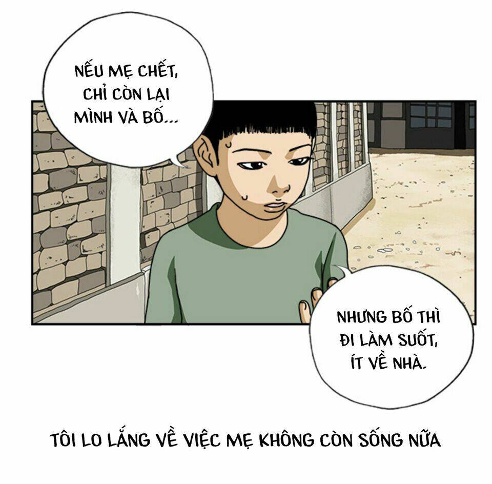 Chương 22 - Trang 24