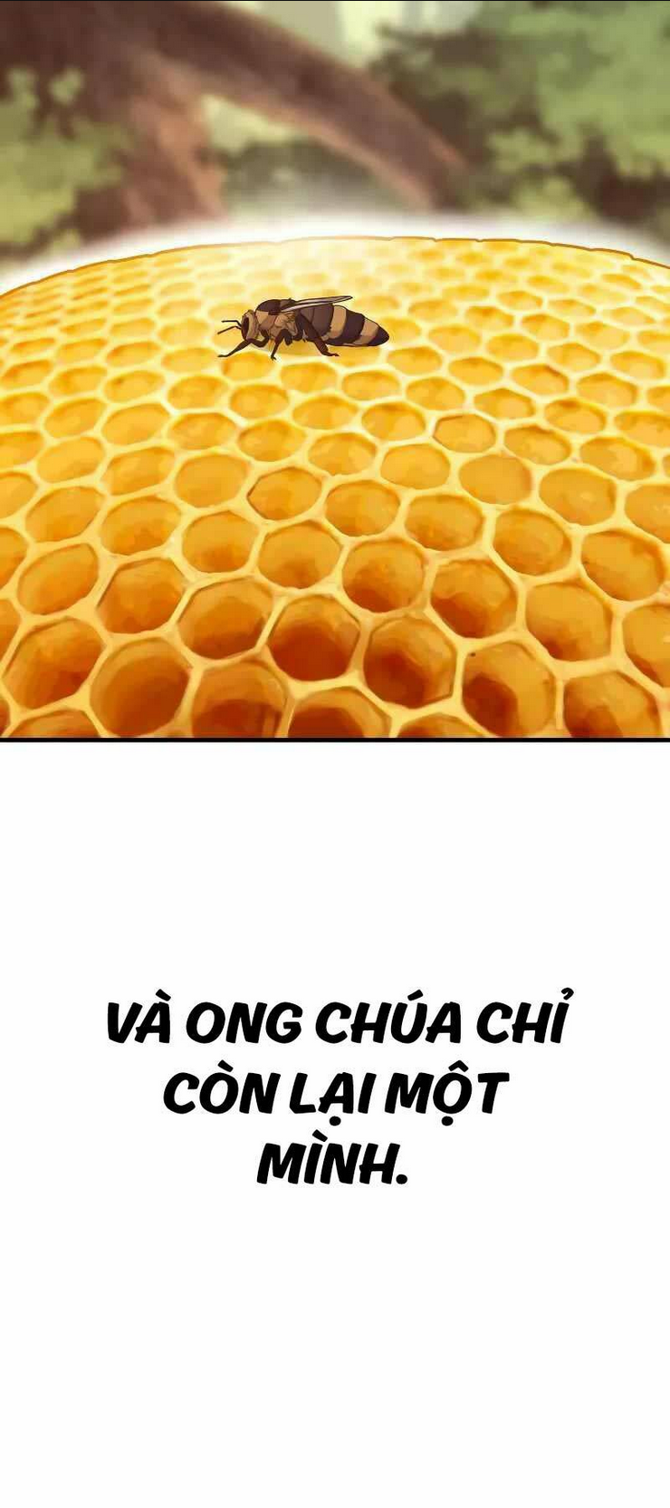 Chương 52 - Trang 11