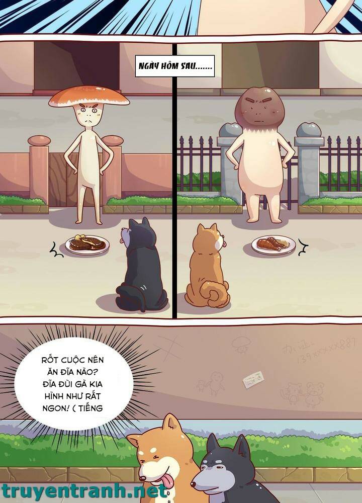 Trang 7