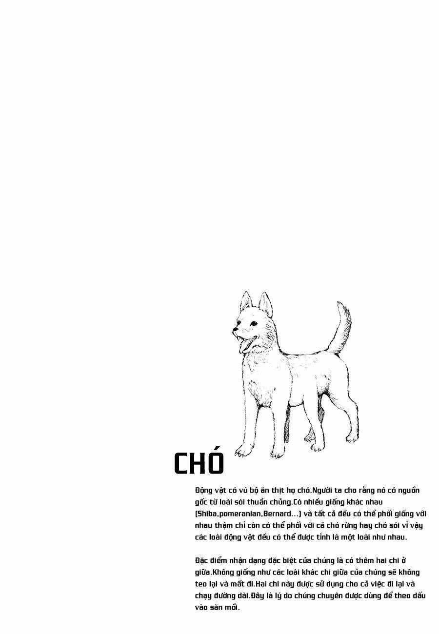 Chương 5 - Trang 49