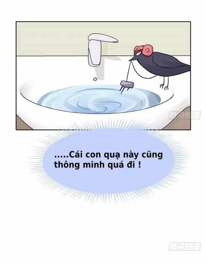 Chương 102 - Trang 17