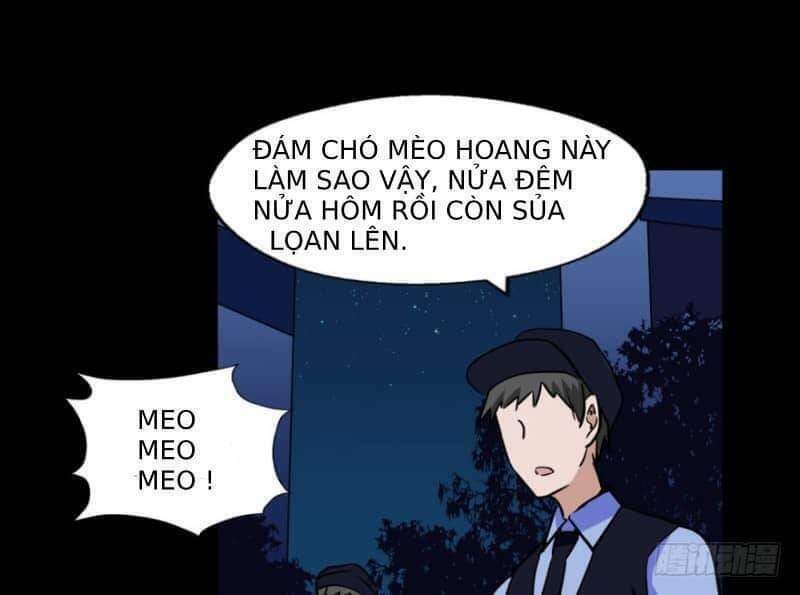 Chương 53 - Trang 13