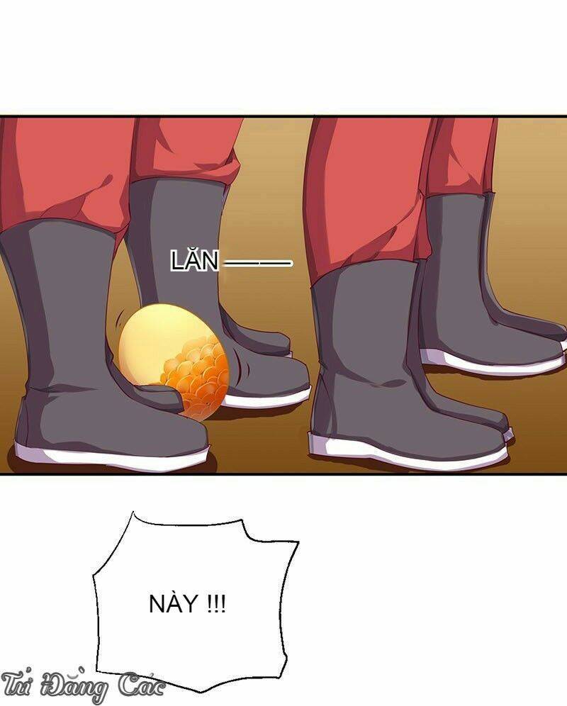 Chương 1 - Trang 17