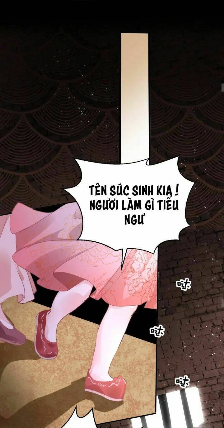 Trang 19