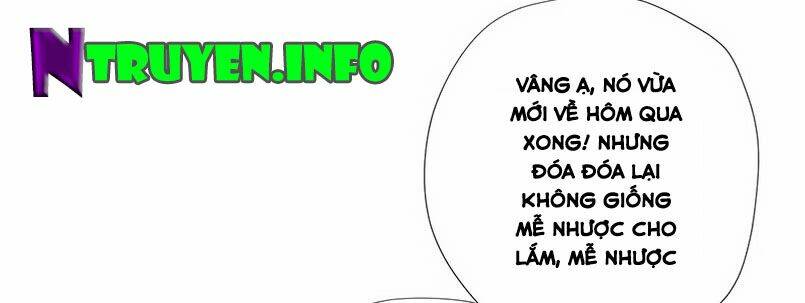 Trang 49