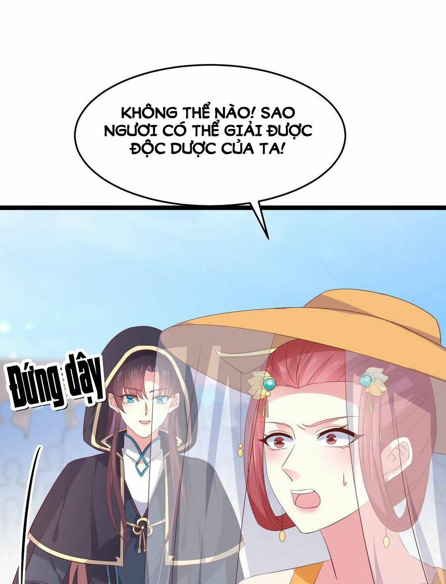 Chương 233 - Trang 23
