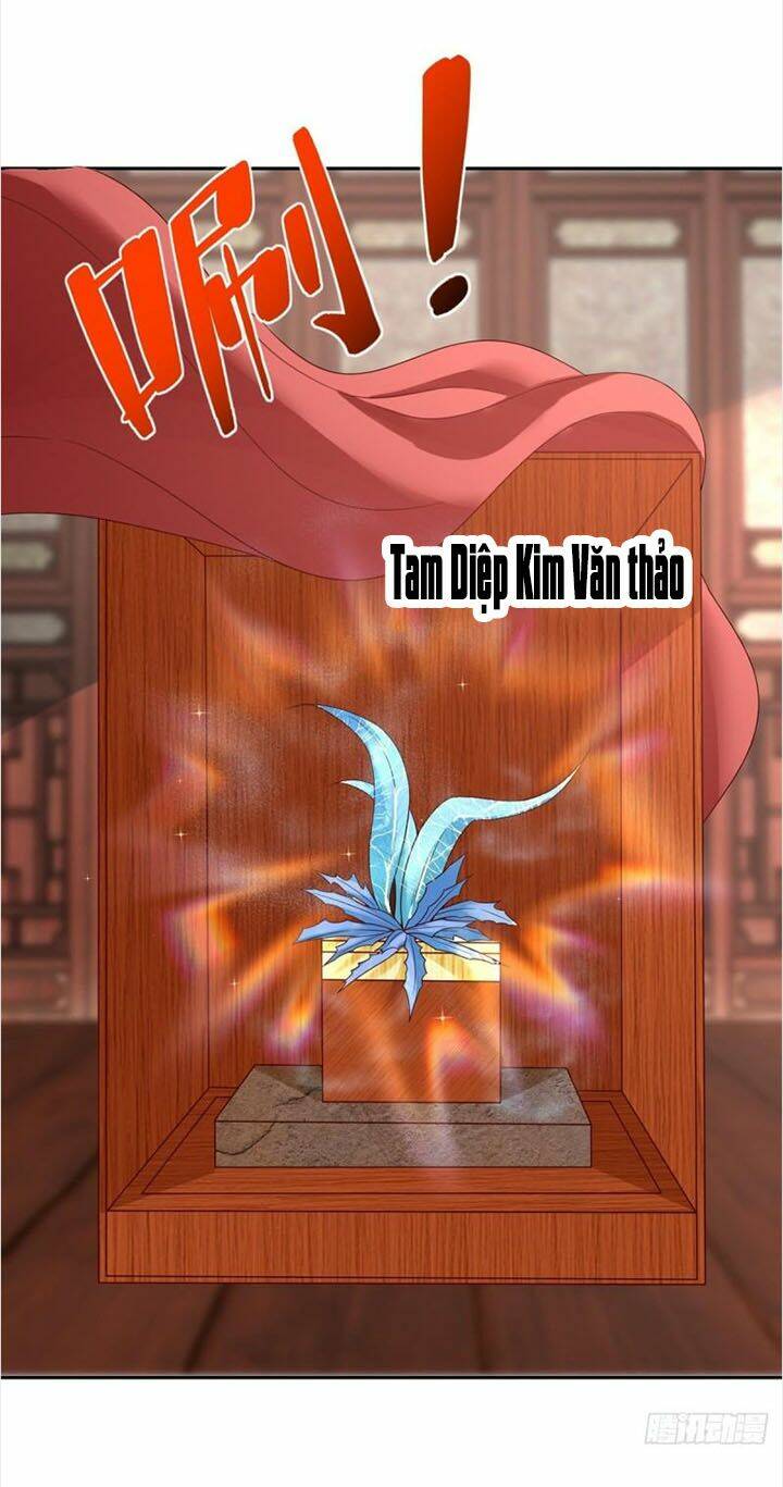 Chương 207 - Trang 35