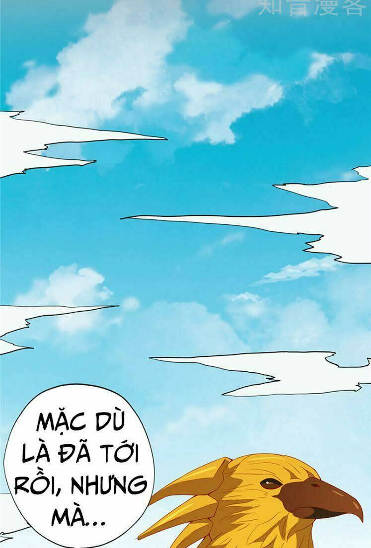 Chương 116 - Trang 17