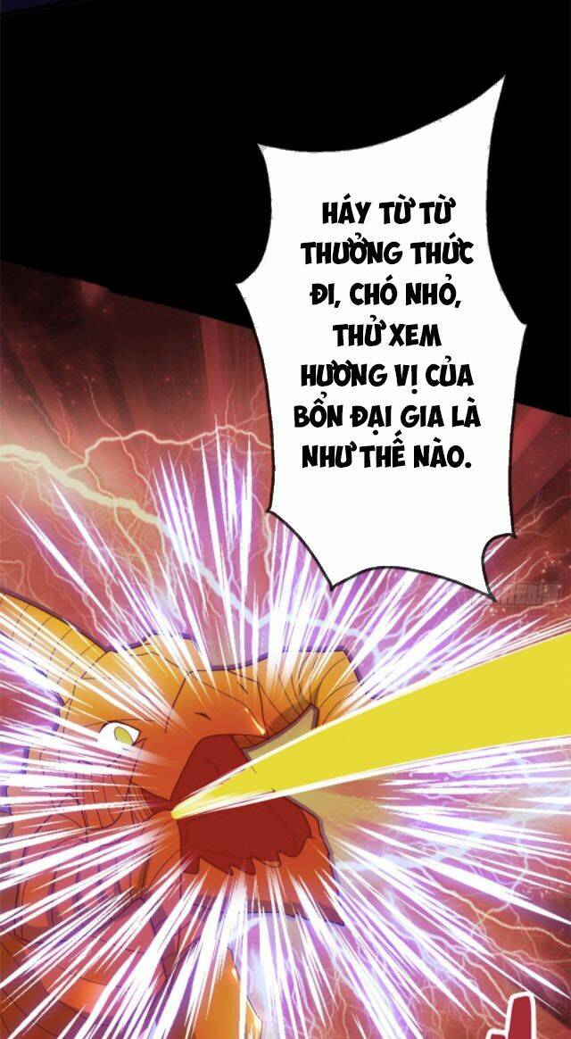 Chương 271 - Trang 14