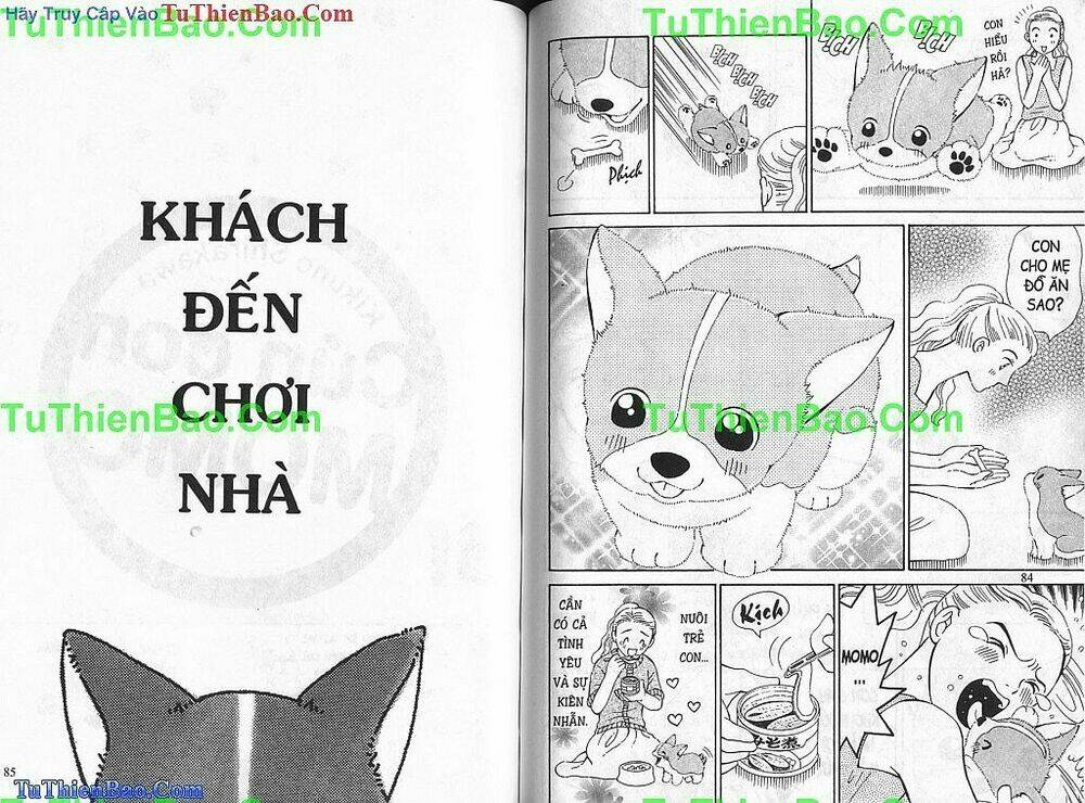 Chương 1 - Trang 43