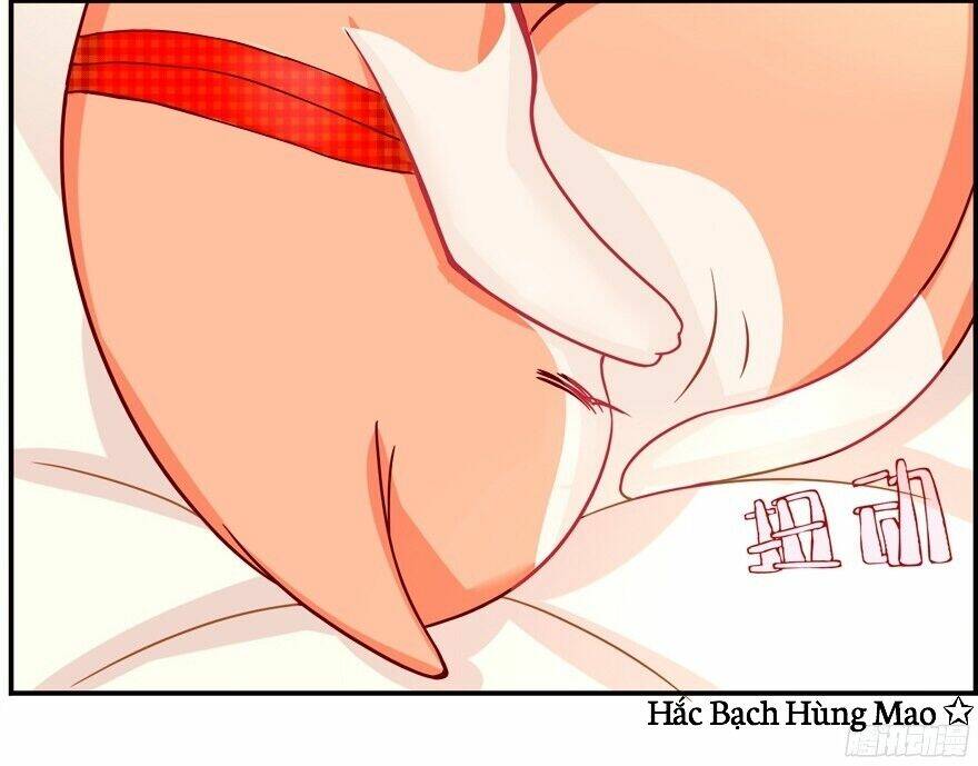 Chương 1.2 - Trang 7