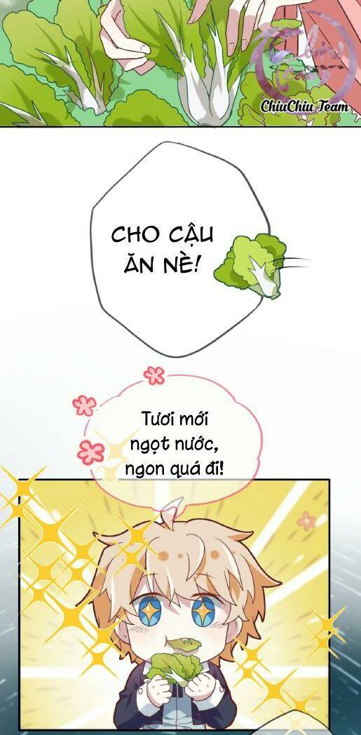 Chương 70 - Trang 31