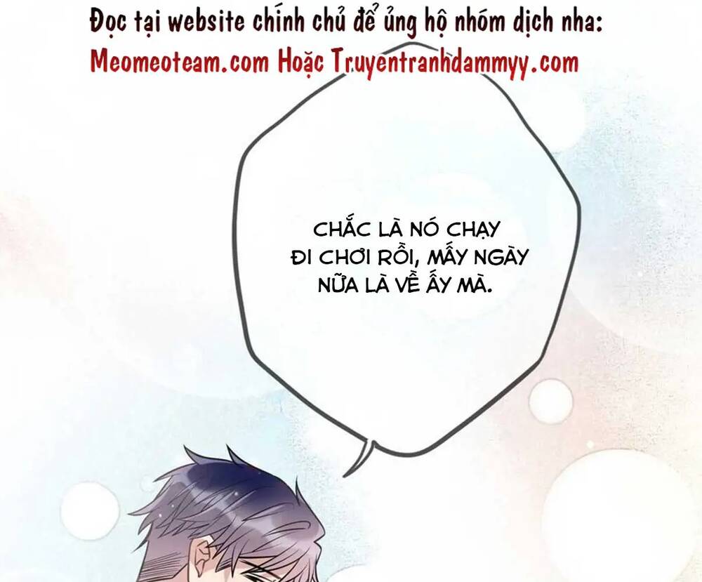 Chương 95 - Trang 34