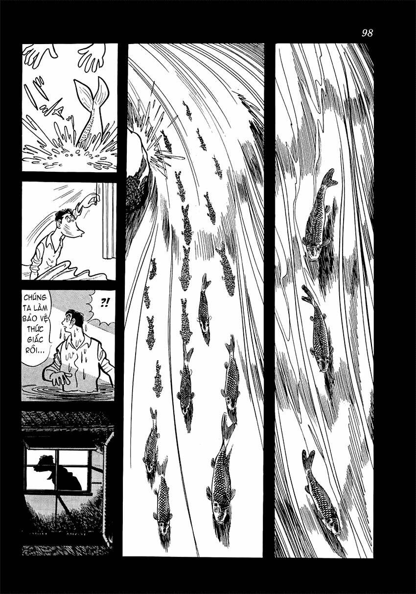 Chương 8 - Trang 52