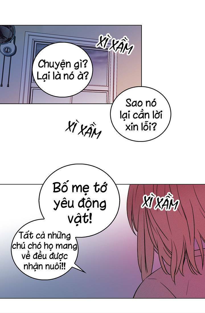 Chương 5 - Trang 19