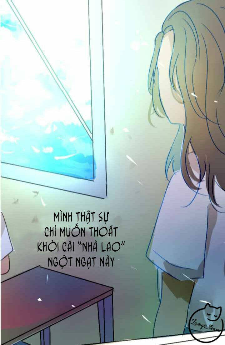 Chương 0 - Trang 11