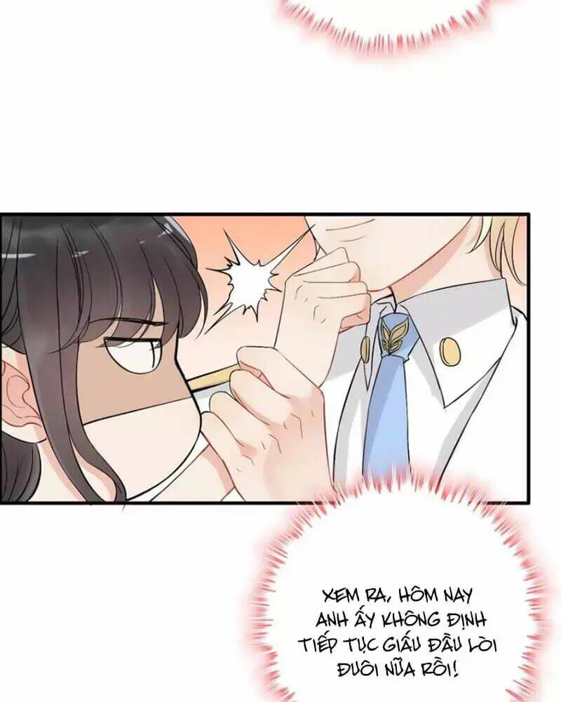 Chương 219 - Trang 11