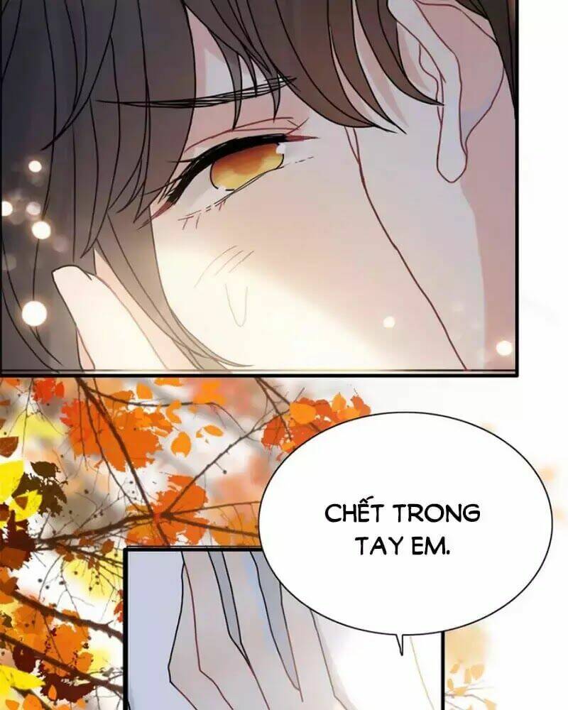 Chương 219 - Trang 64