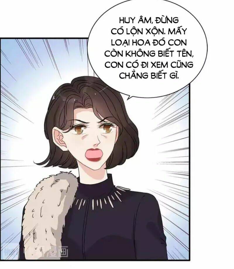 Chương 238 - Trang 24