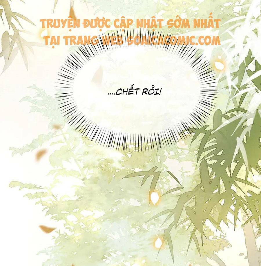 Chương 24 - Trang 40