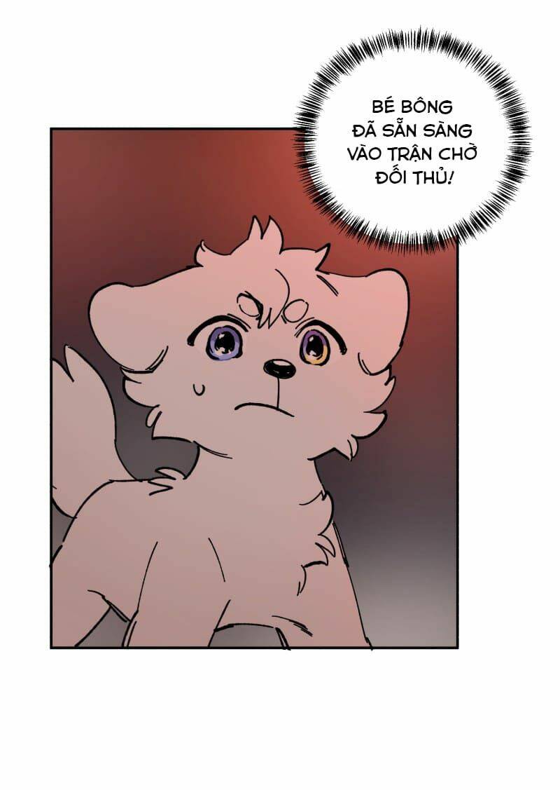 Chương 113 - Trang 17