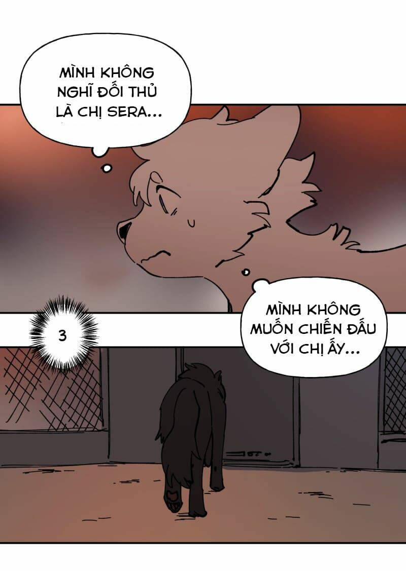 Chương 113 - Trang 30
