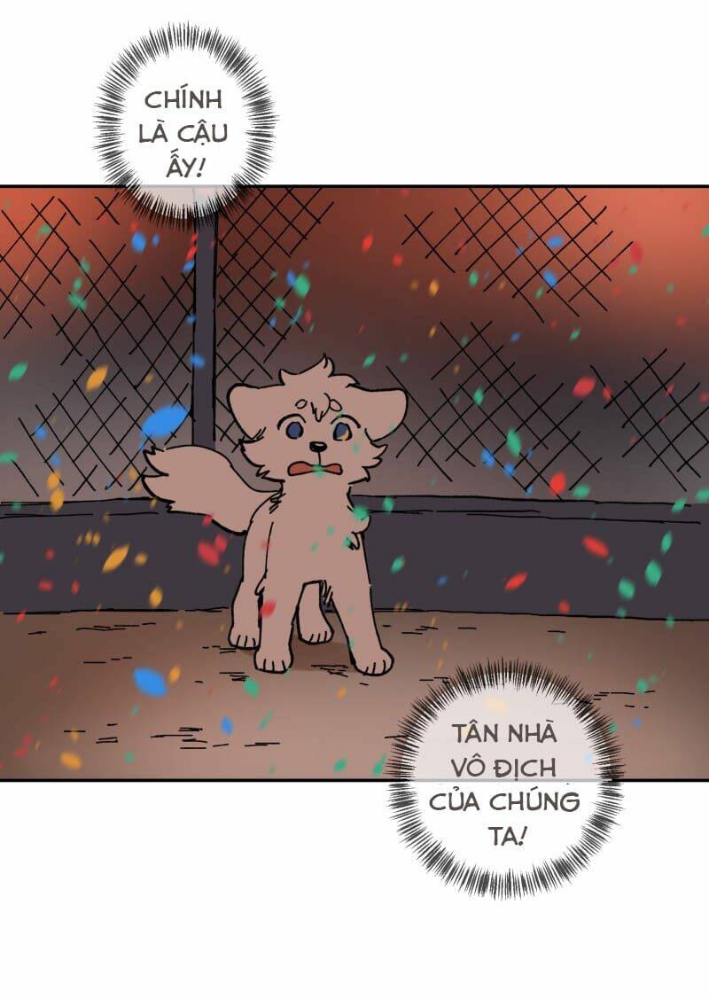 Chương 113 - Trang 52