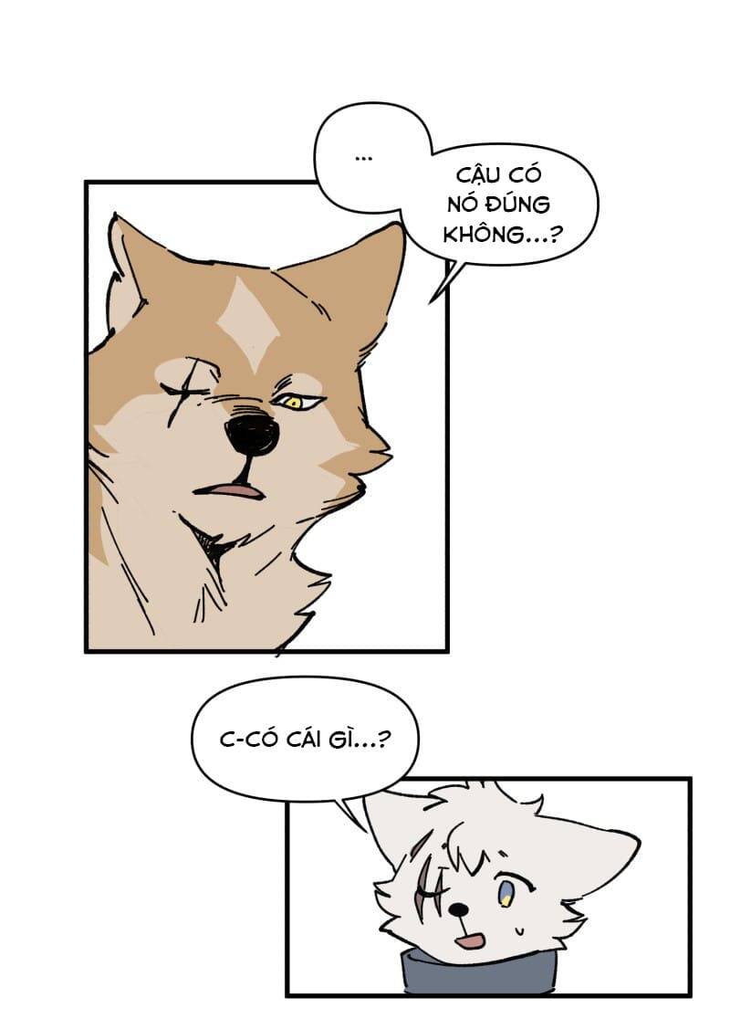 Chương 149 - Trang 5