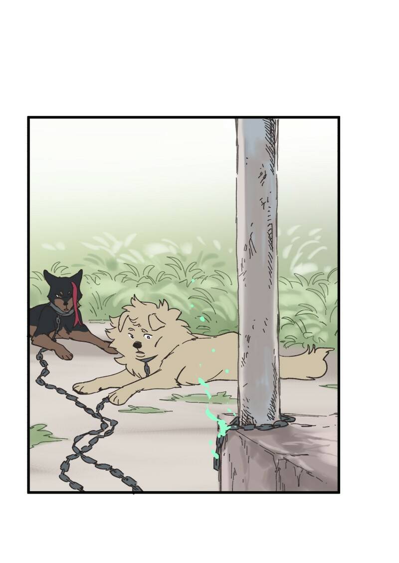 Chương 151 - Trang 13