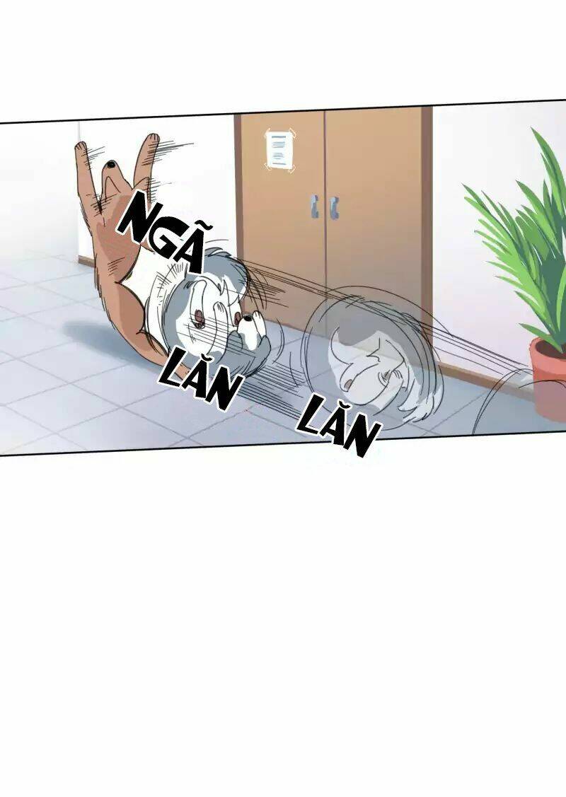Chương 19 - Trang 33