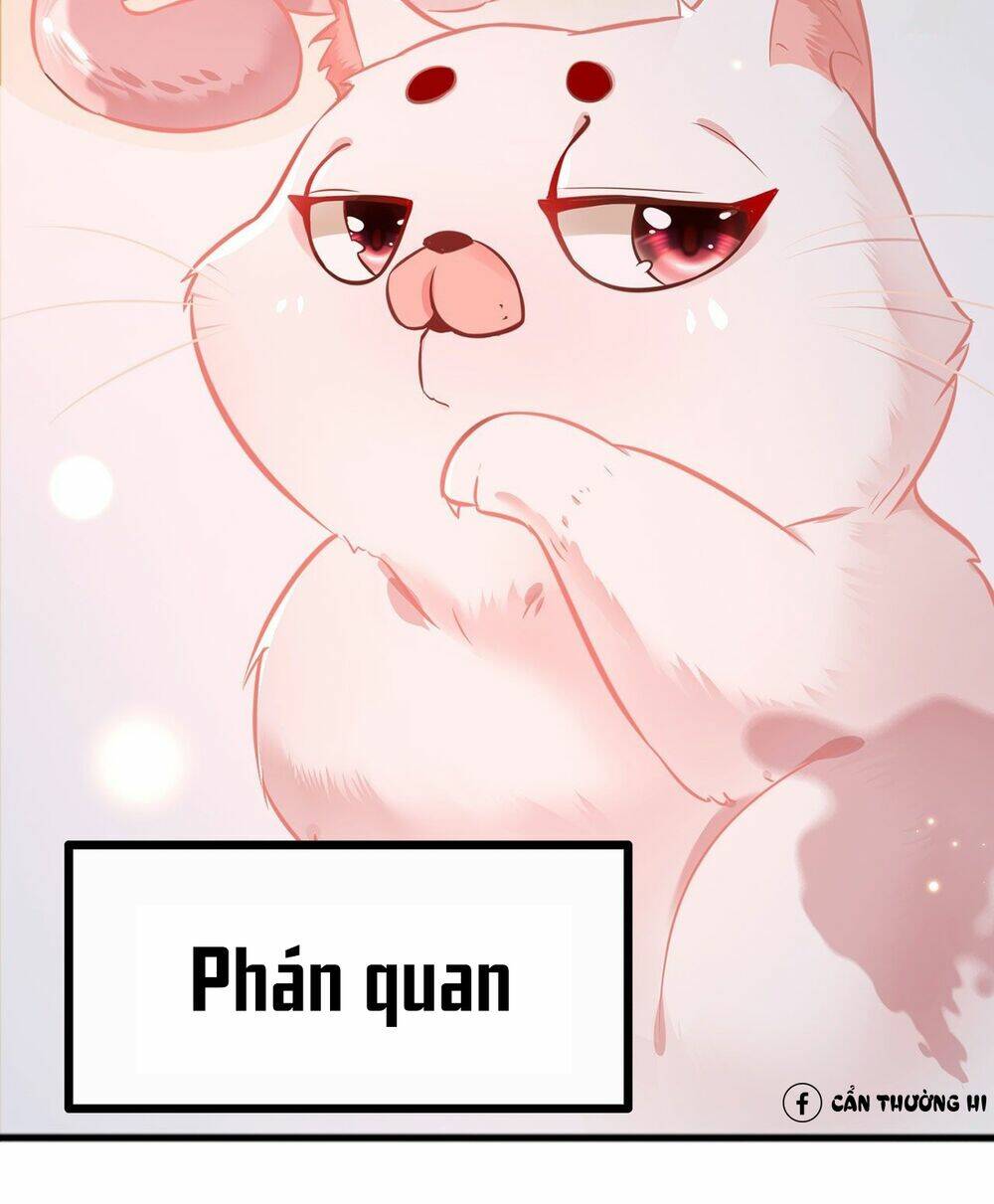 Chương 2 - Trang 36