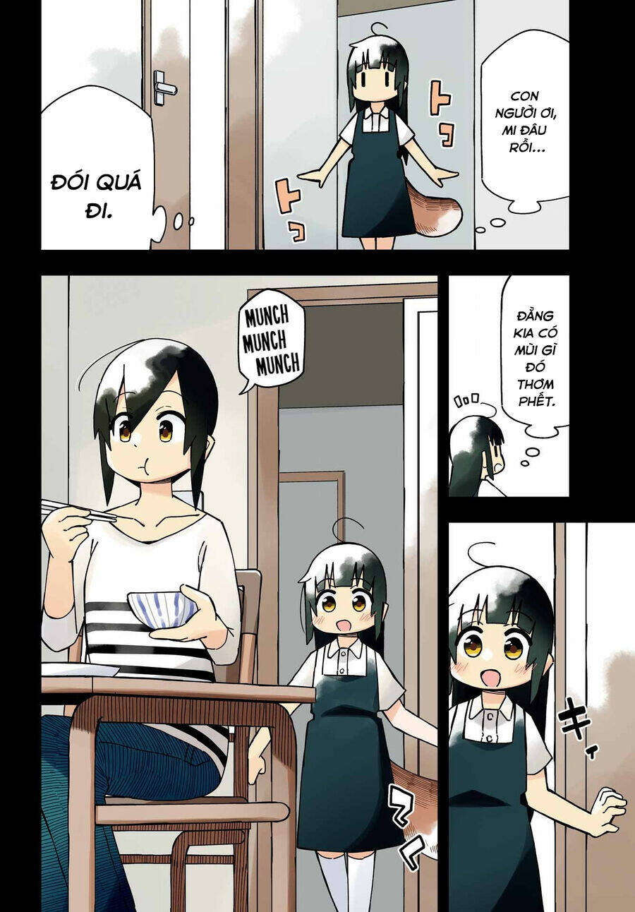 Trang 3