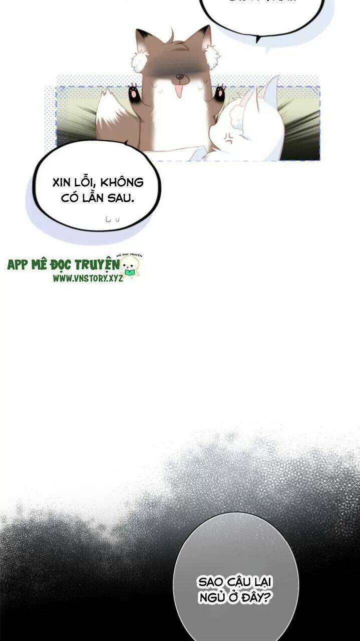 Chương 123 - Trang 20