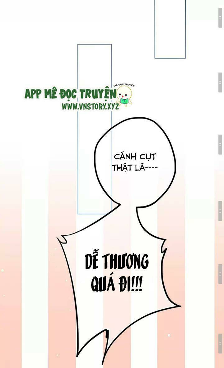 Chương 15 - Trang 17