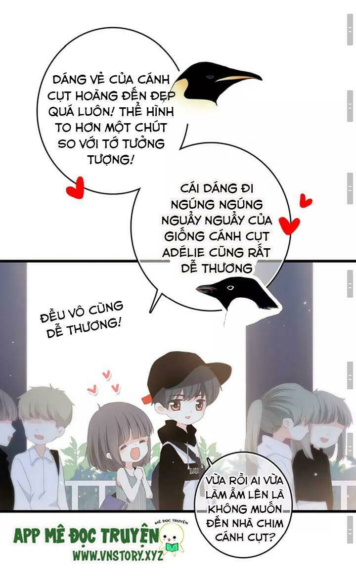 Chương 15 - Trang 19
